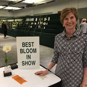 Meet your Posher, Dianne